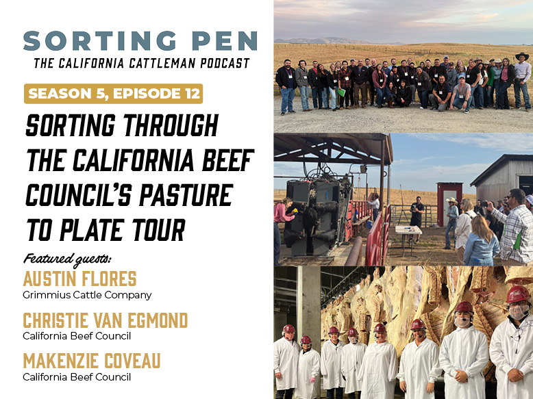 Sorting Pen Season 5, E12webfinal