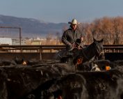 CCA President Mark Lacey horseback
