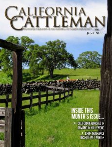 Spring cattle work on the cover of June 2019 California Cattleman