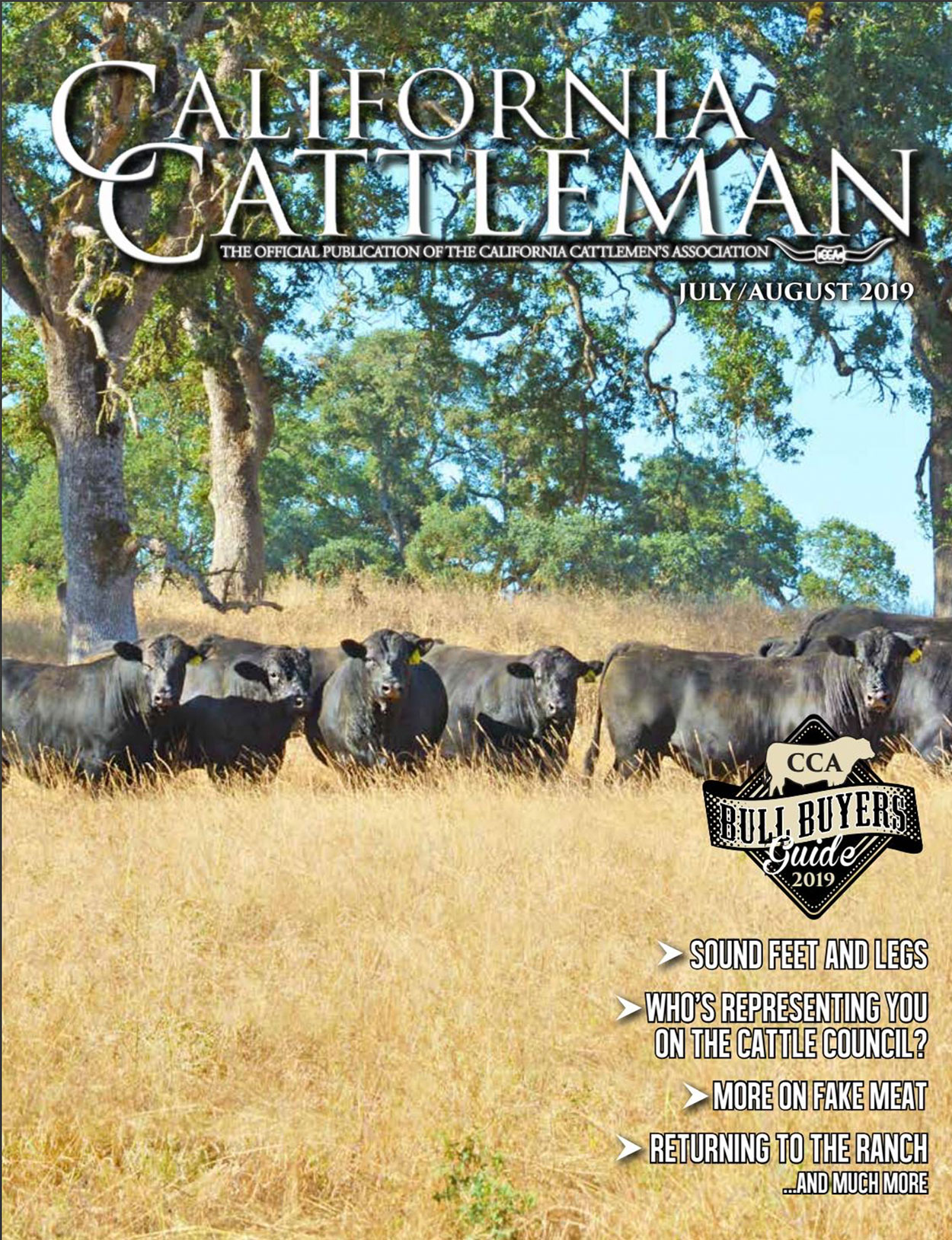 Bulls on the cover of the July/August 2019 issue of the California Cattleman