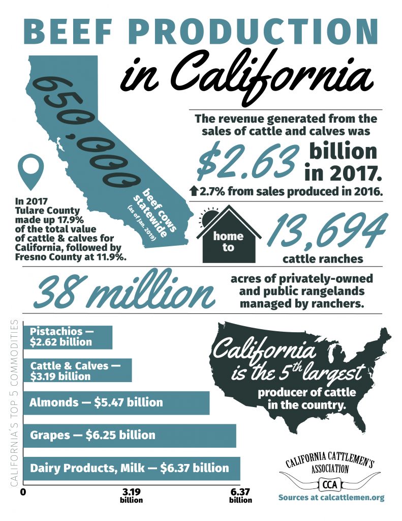 California Beef Industry Statistics Factsheet