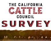 The California Cattle Council Survey