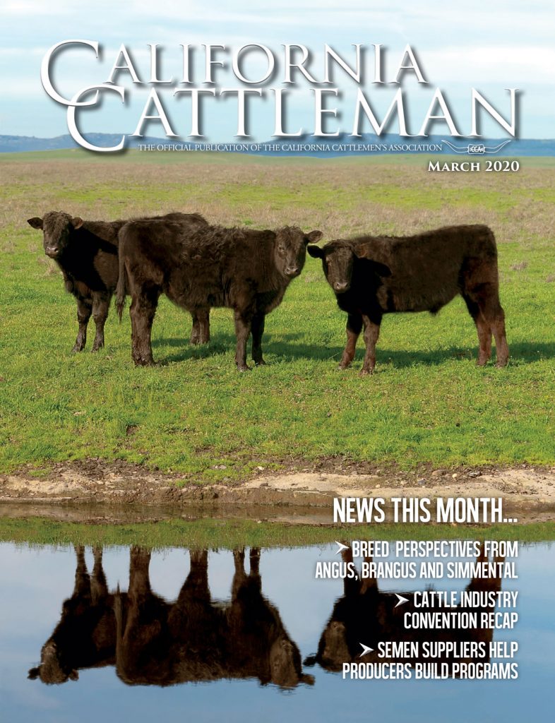 California Cattlemen Cover March 2020