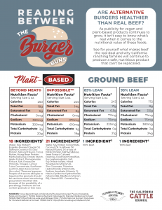 Preview of factsheet on nutritional values of ground beef vs. vegan products