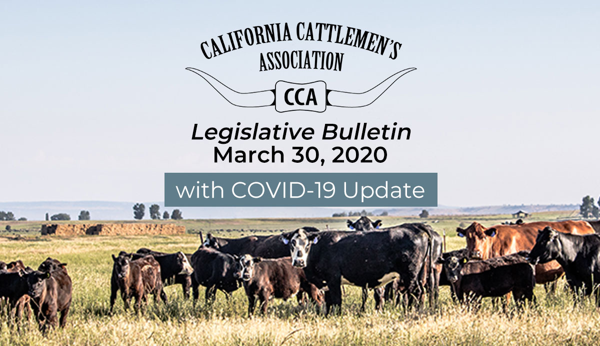 3/30 Legislative Bulletin with COVID-19 Update