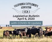 4/6 Legislative Bulletin with COVID-19 Update