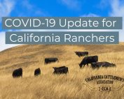 COVID-19 Update for California Ranchers