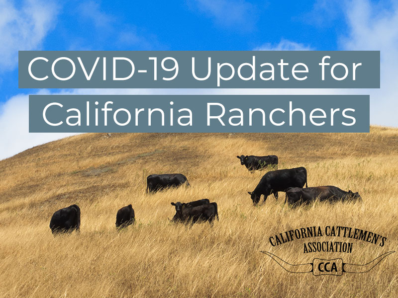 COVID-19 Update for California Ranchers