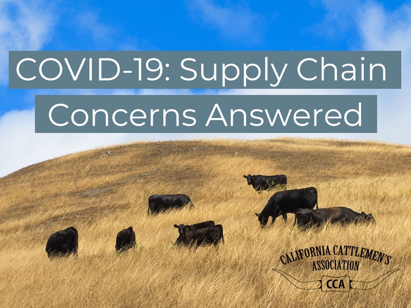 COVID-19: Supply Chain Concerns Answered