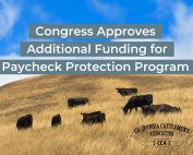 Congress Approves Additional Funding for Paycheck Protection Program