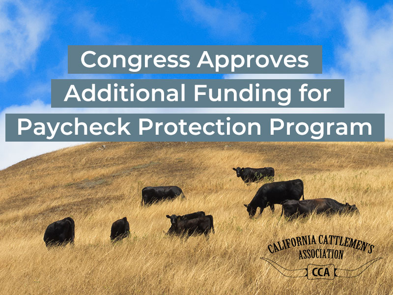 Congress Approves Additional Funding for Paycheck Protection Program