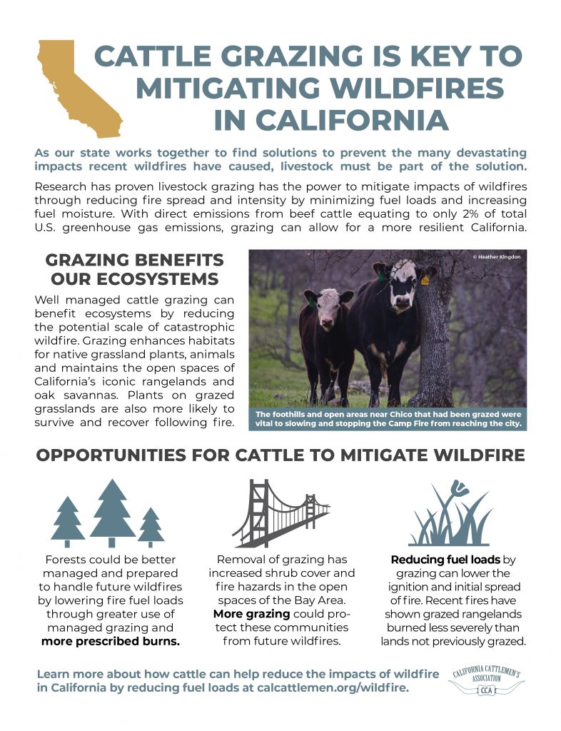 CCA Wildfire Factsheet 2020