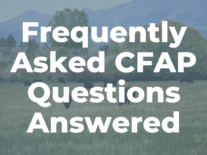 Frequently Asked CFAP Questions Answered