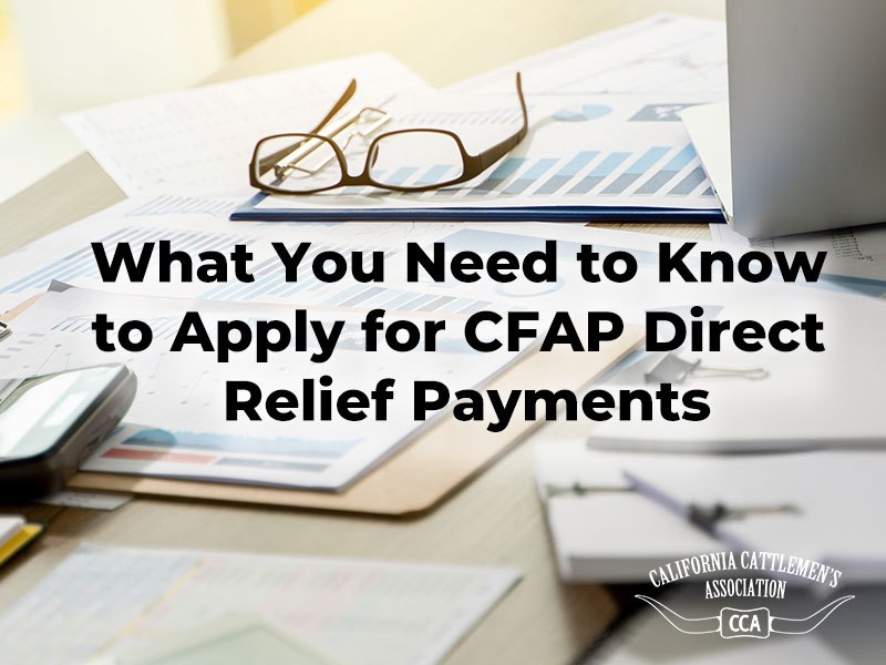 What You Need to Know to Apply for CFAP Direct Relief Payments