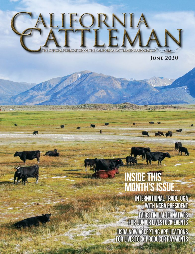 June CCA Magazine cover of cowboy