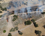 prescribed fire burning in Santa Barbara County