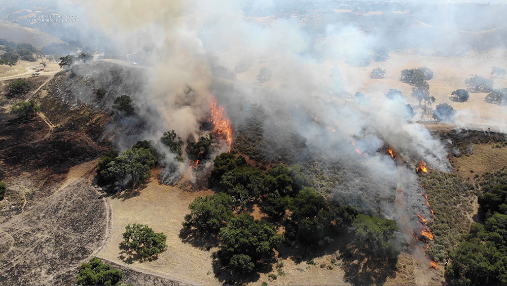 prescribed fire burning in Santa Barbara County