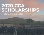 2020 CCA Scholarship, Apply by Oct 1