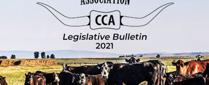 LB2021