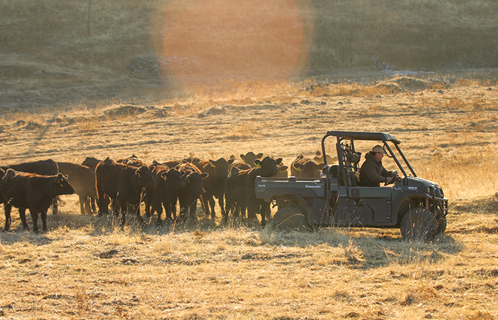 Toso on his home ranch