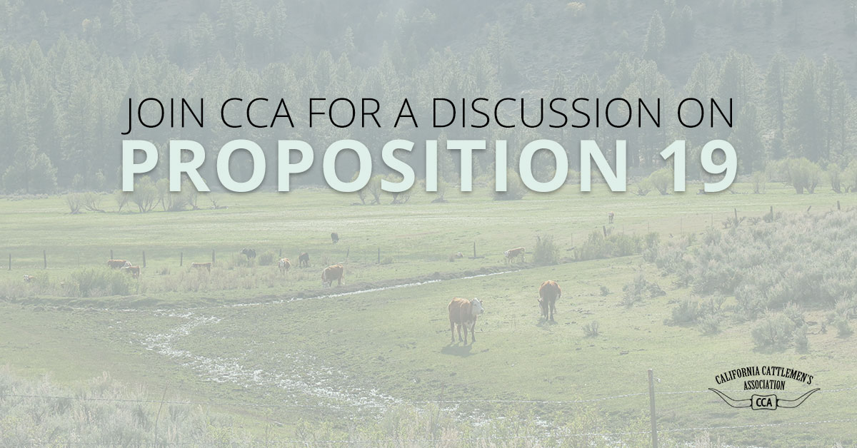 Join CCA for a Discussion on Prop 19