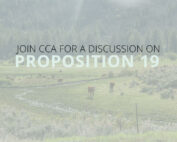 Join CCA for a Discussion on Prop 19