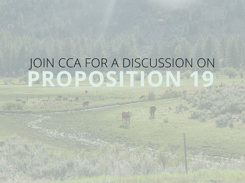 Join CCA for a Discussion on Prop 19