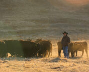 Tony Toso, CCA's 50th President