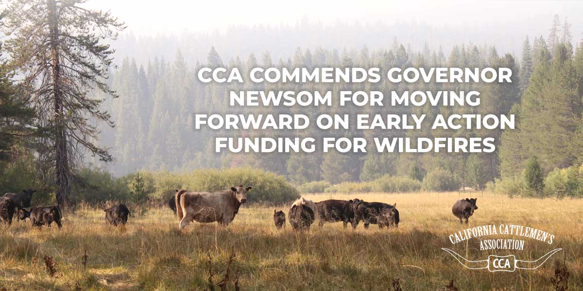 CCA Commends Governor Newsom for moving forward on early action funding for wildfires