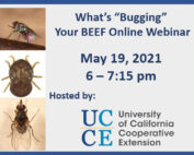 What’s “Bugging” Your Beef Webinar