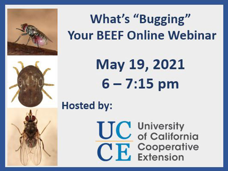 What’s “Bugging” Your Beef Webinar