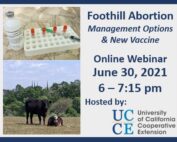 Foothill Abortion Management Options and New Vaccine Webinar