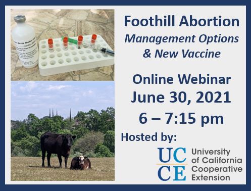 Foothill Abortion Management Options and New Vaccine Webinar