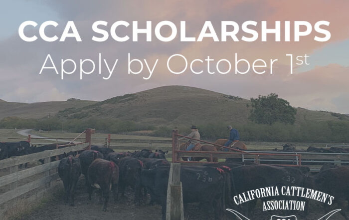 CCA Scholarship, Apply by Oct 1