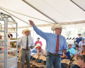 Matt Macfarlane taking bids