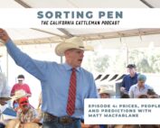 Matt Macfarlane taking bids