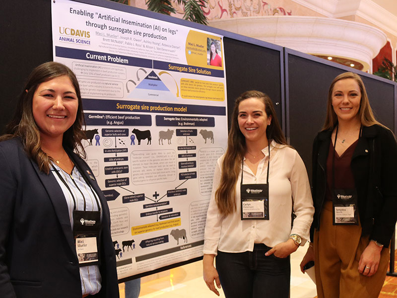 students with posters at session