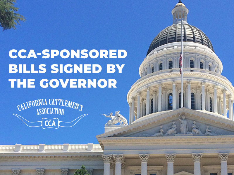 CCA-Sponsored Bills signed by the governor