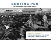 sorting pen episode 17