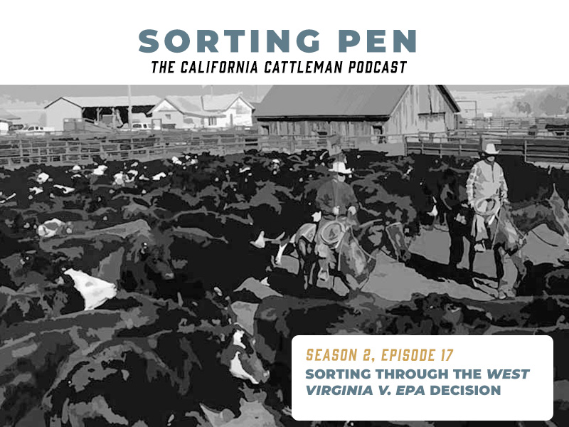 sorting pen episode 17