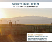 sorting pen episode 18