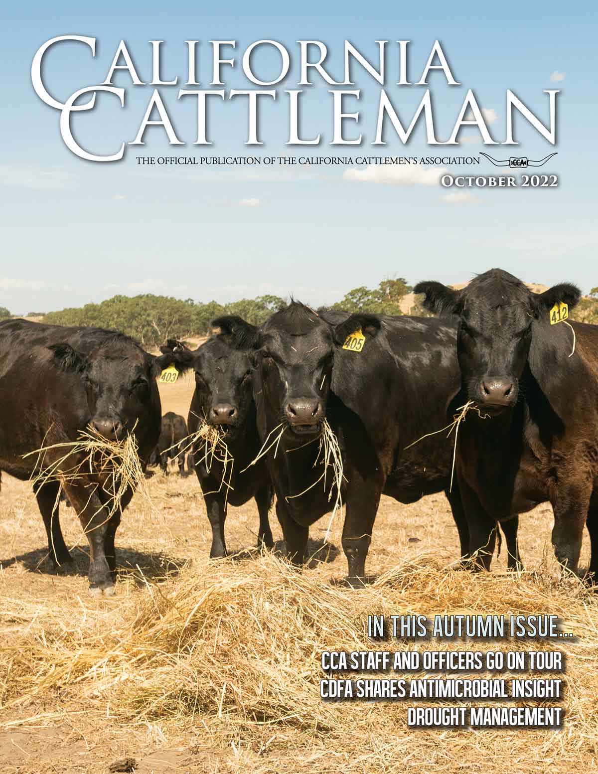 Cattle eating hay on cover of Oct. magazine