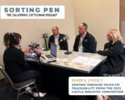 CCA leadership recording podcast