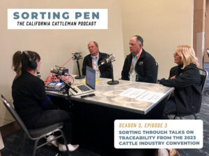 CCA leadership recording podcast