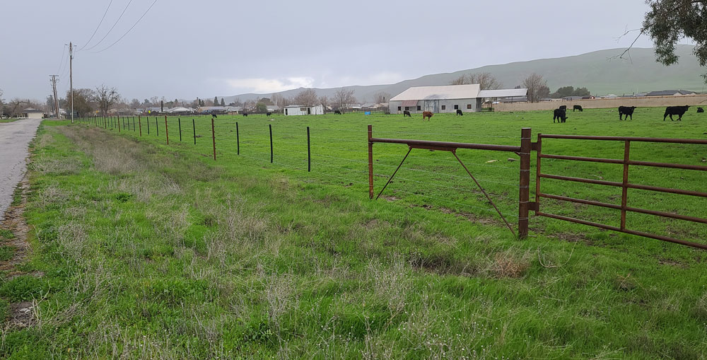 southwest fence in field