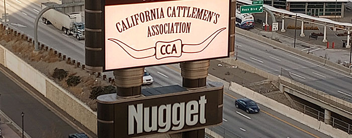 nugget sign