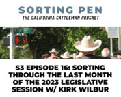 Sorting through the last month of the 2023 legislative session w/ Kirk Wilbur
