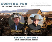 Steve Arnold and Rick Roberti podcast episode