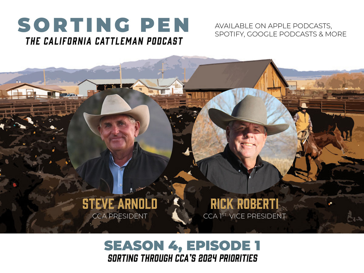 Steve Arnold and Rick Roberti podcast episode