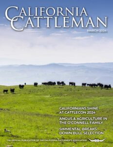 March cover of cattle on green grass